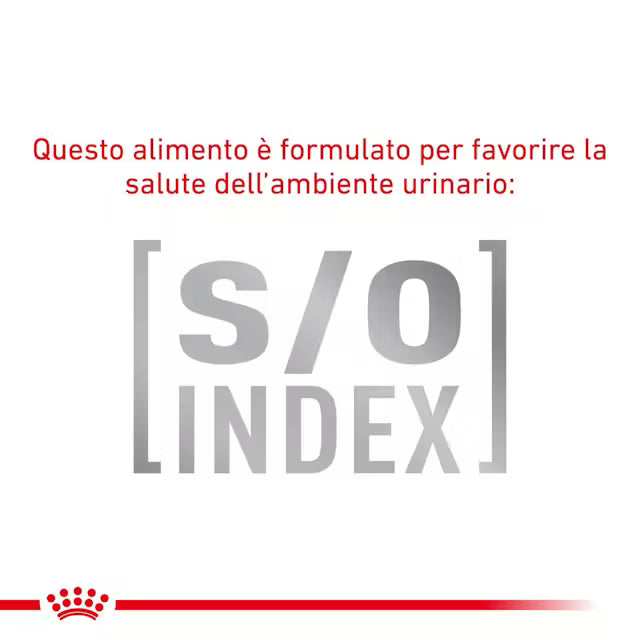 Alimento umido Royal Canin Sensitivity Control 12x85 g per gatti adulti con intolleranze alimentari