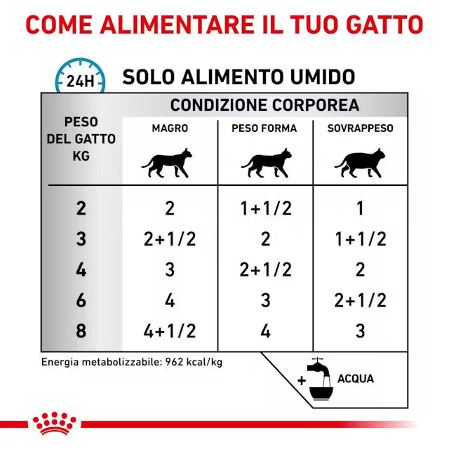 Alimento umido Royal Canin Sensitivity Control 12x85 g per gatti adulti con intolleranze alimentari