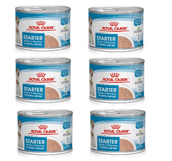 Royal Canin Starter Mousse Mother & Babydog - 12 Lattine Da 195g, Cibo Umido Per Cagne Gravidanza E Allattamento