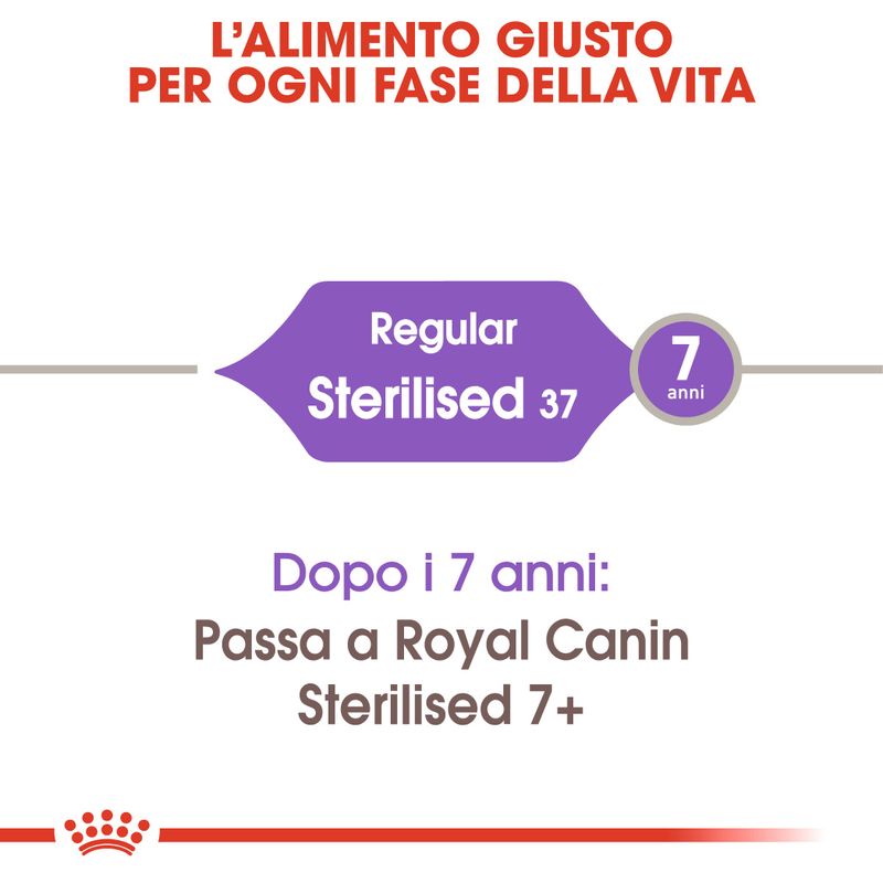 Royal Canin Sterilised37 4kg Crocchette per Gatti