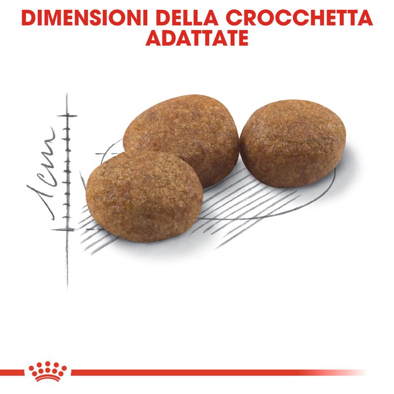 Royal Canin Sterilised 37 - 4kg Crocchette per Gatti