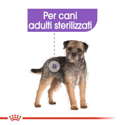 Royal Canin Sterilised Mini 8kg - Crocchette per Cani