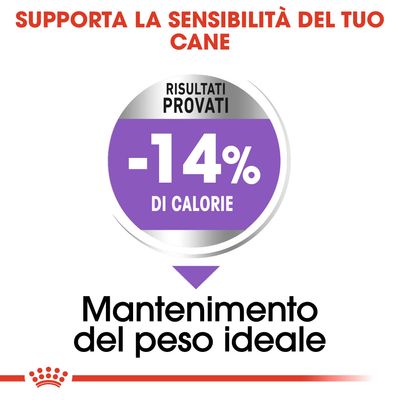 Royal Canin Sterilised Mini 8kg - Crocchette per Cani