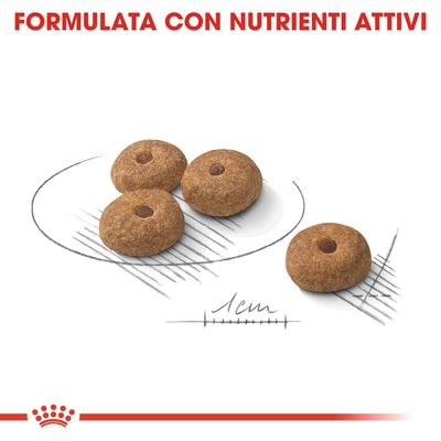 Royal Canin Sterilised Mini 8kg - Crocchette per Cani