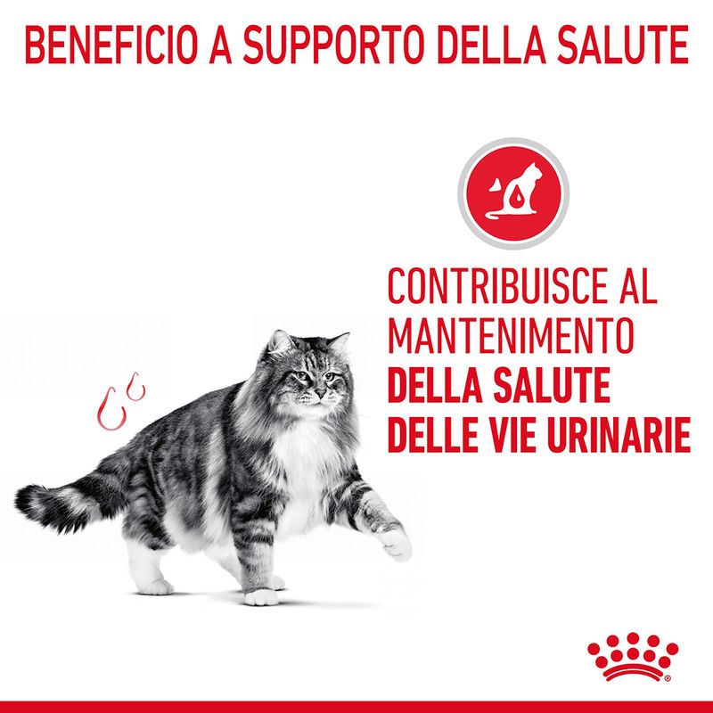 Royal Canin Urinary Care Crocchette per Gatto 2kg