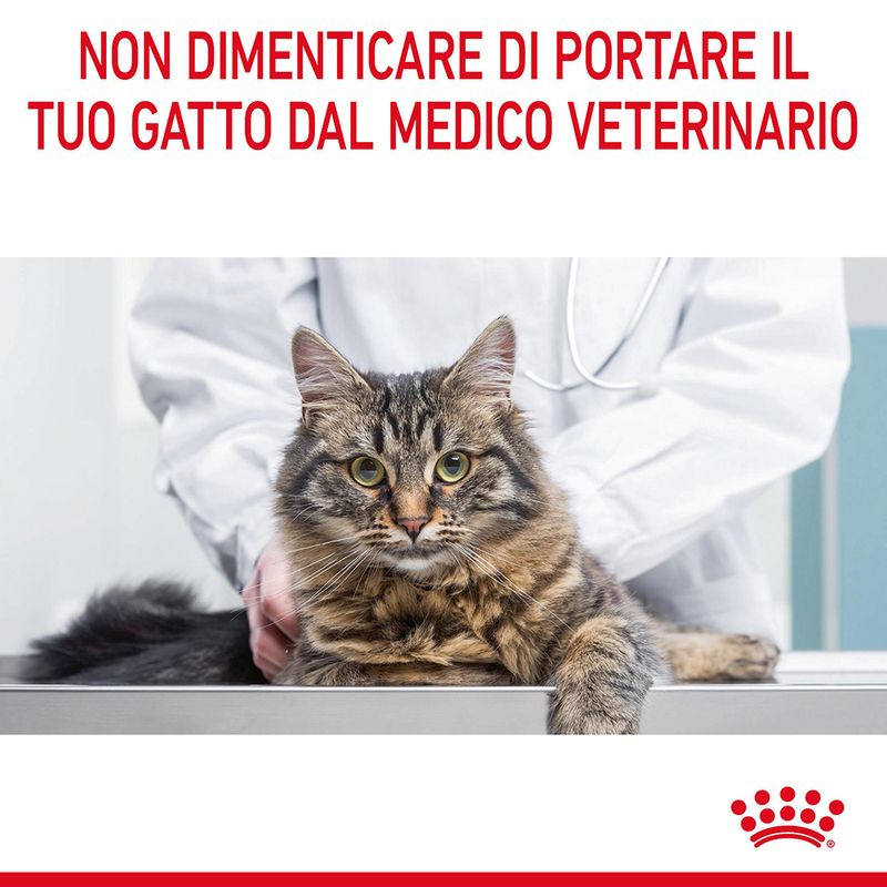 Royal Canin Urinary Care Salsa Umido per Gatto - 12x85gr