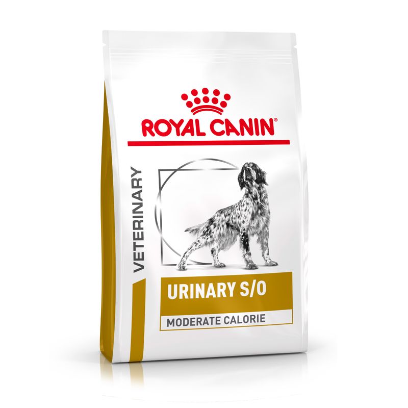 Royal Canin Urinary S/O Moderate Calorie - 6,5kg