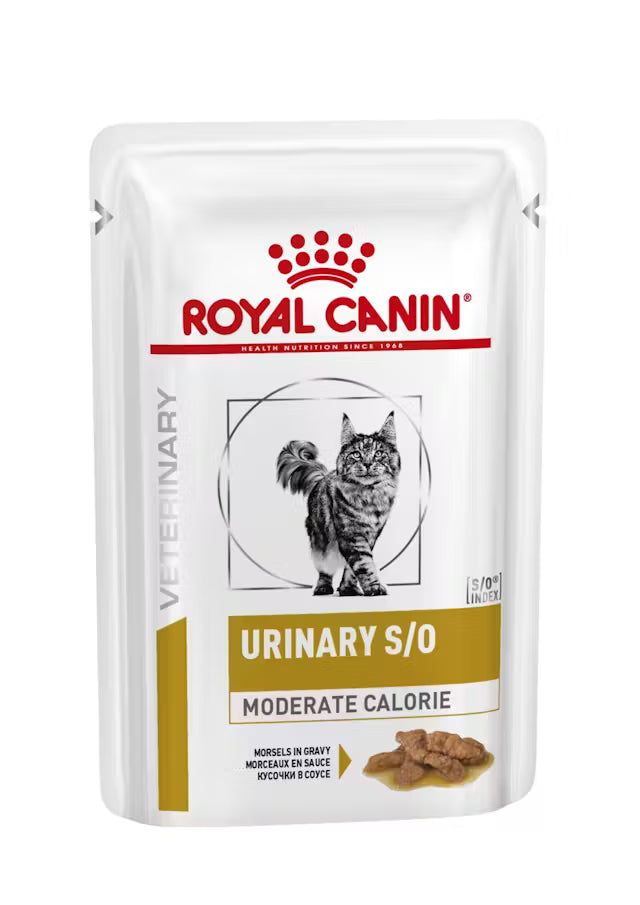 Alimento umido Royal Canin Urinary S/O Moderate Calorie Straccetti in salsa 12x85 g per gatti adulti