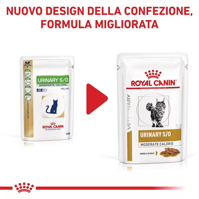 Alimento umido Royal Canin Urinary S/O Moderate Calorie Straccetti in salsa 4x12x85 g per gatti adulti