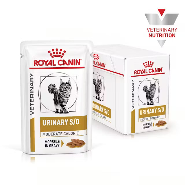 Alimento umido Royal Canin Urinary S/O Moderate Calorie Straccetti in salsa 4x12x85 g per gatti adulti