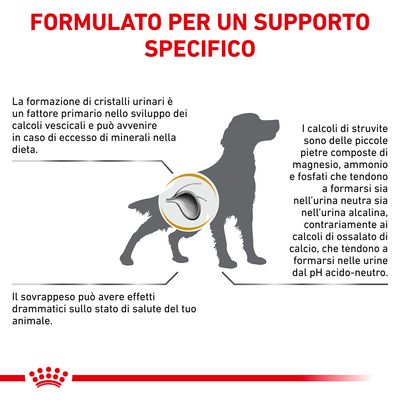 Royal Canin Urinary S/O Moderate Calorie 1,5kg - Crocchette Cane