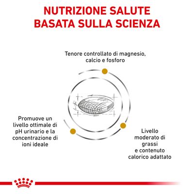 Royal Canin Urinary S/O Moderate Calorie 1,5kg - Crocchette Cane