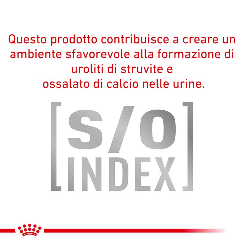 Royal Canin Urinary S/O 7,5kg - Crocchette per Cani