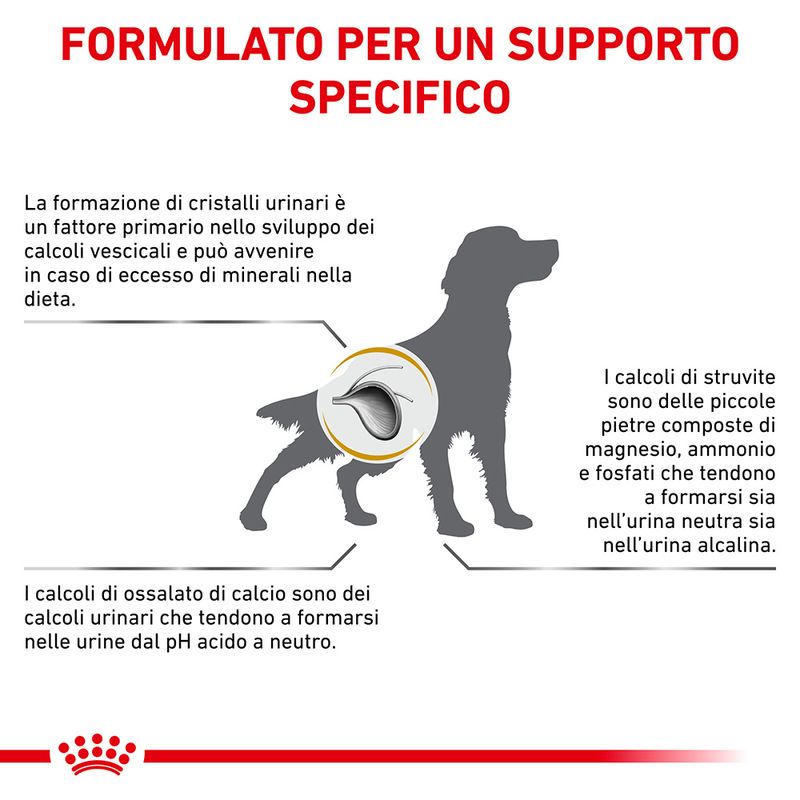 Royal Canin Urinary S/O 7,5kg - Crocchette per Cani