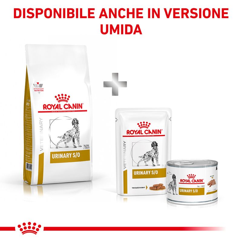 Royal Canin Urinary S/O 7,5kg - Crocchette per Cani