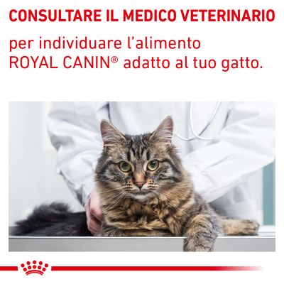 Royal Canin Satiety Weight Management 3,5kg - Crocchette per Gatti