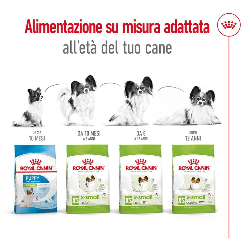 Royal Canin X-Small Ageing 12+ 1,5kg - Crocchette per Cani