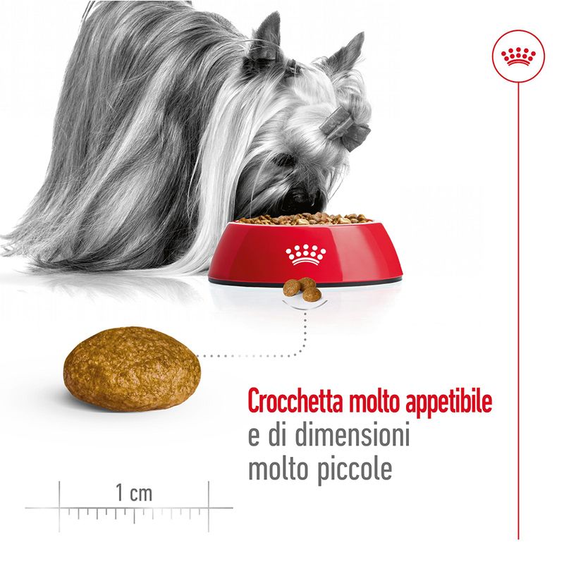 Royal Canin X-Small Ageing 12+ 1,5kg - Crocchette per Cani