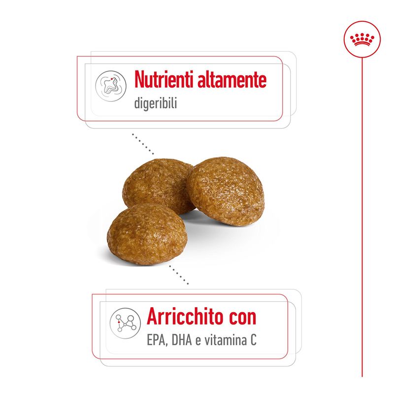 Royal Canin X-Small Ageing 12+ 1,5kg - Crocchette per Cani