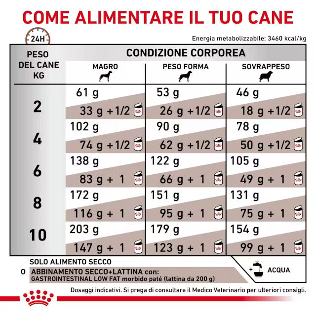 Alimento secco Royal Canin Gastrointestinal Low Fat 1,5 kg per cani di piccola taglia