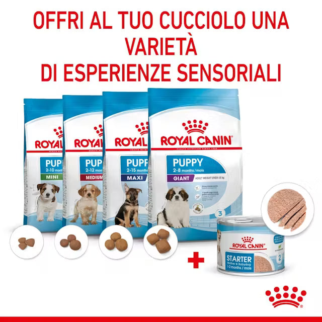 Linea completa Royal Canin con mousse e secco, scritta “Offri al tuo cucciolo una varietà di esperienze sensoriali”