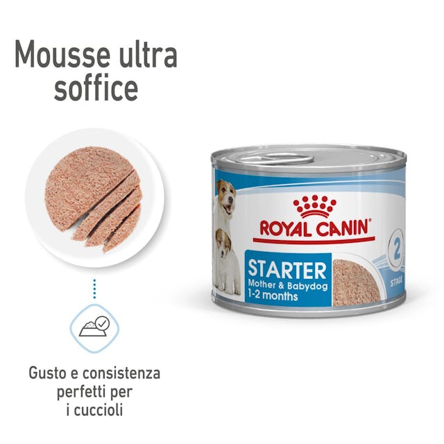 6x195g  Royal Canin Starter Mousse Mother & Babydog