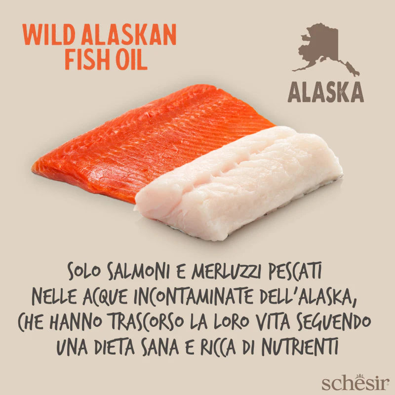 Olio di Salmone per Cani 500ml - Schesir Grizzly Wild Alaskan
