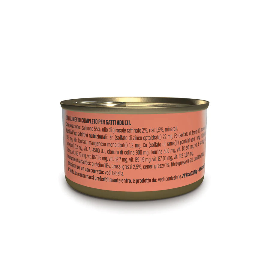 Etichetta Schesir salmone in brodo 85g per gatto adulto, dettagli ingredienti e composizione
