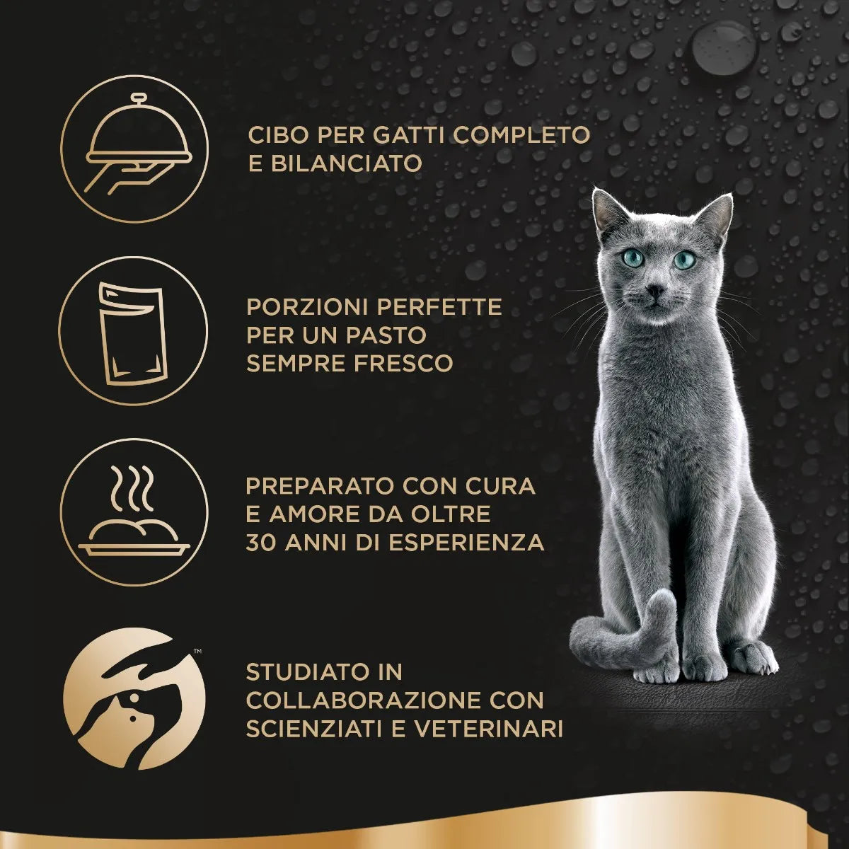 Sheba Délices Du Jour Manzo e Pollo in Salsa 6x50g Umido per Gatti