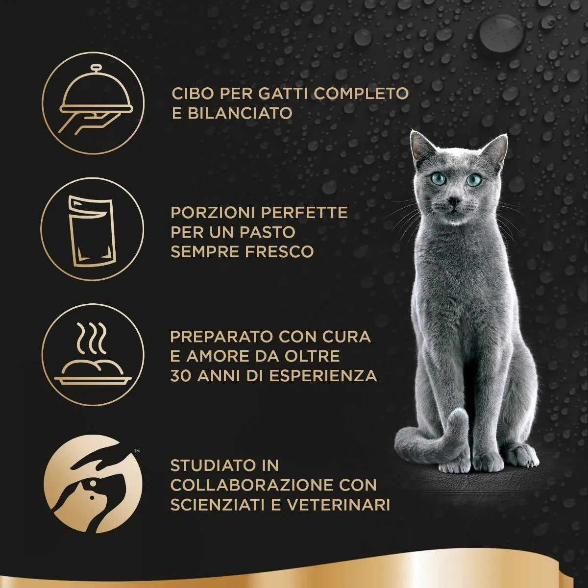 Sheba Délices Du Jour Salmone e Tonno in Salsa 6x50g Umido per Gatti