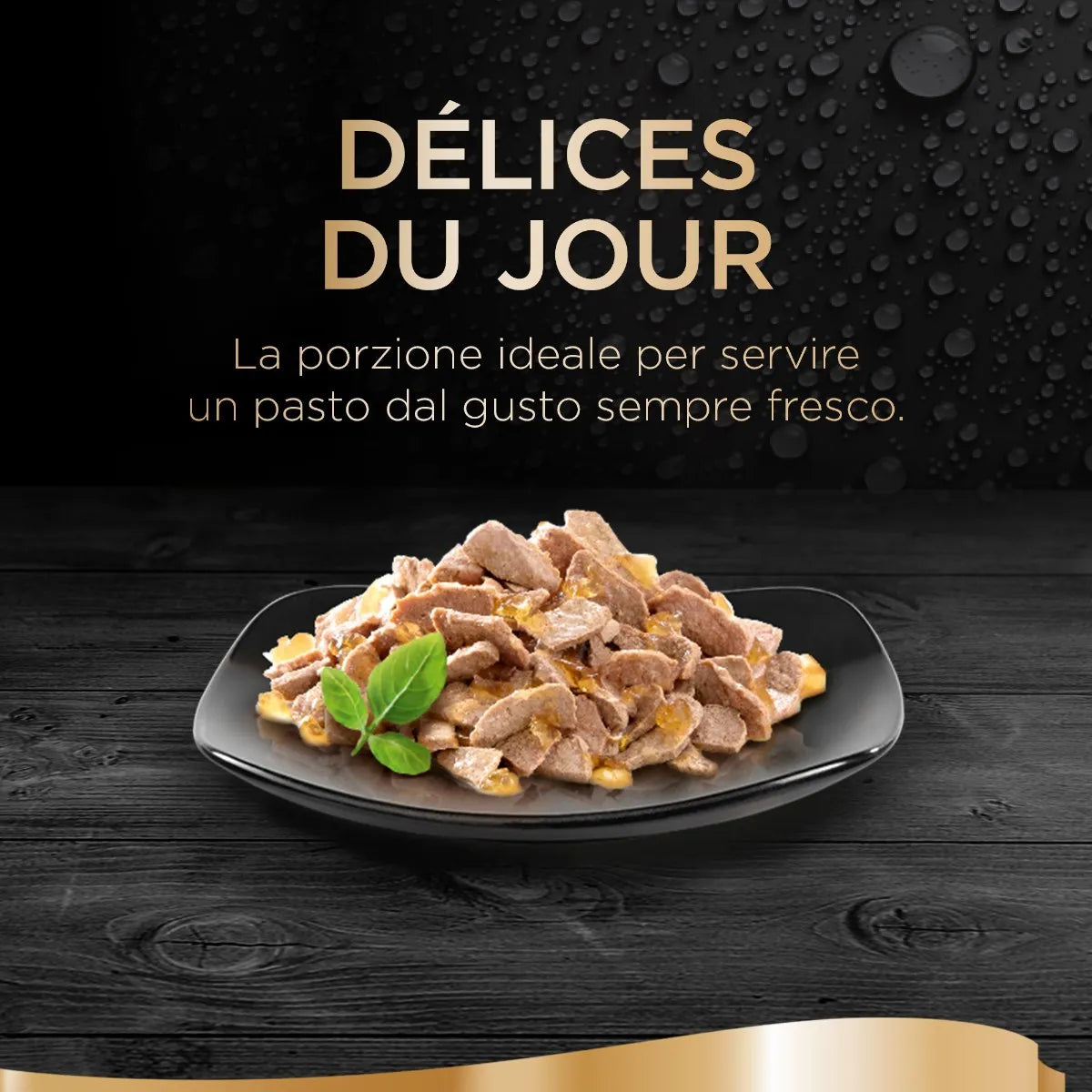 Sheba Délices Du Jour Tacchino e Pollo in Gelatina 6x50g Umido per Gatti
