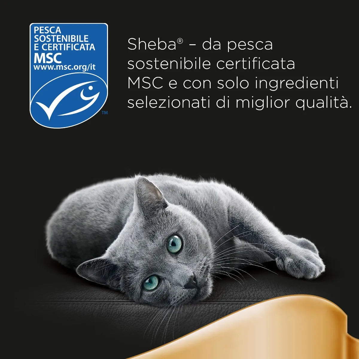 Sheba Délices Gourmands Taste of Paris 6x50g Umido per Gatti