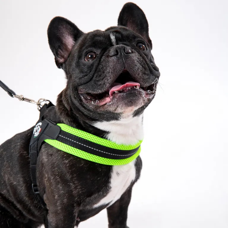 Pettorina Tre Ponti Mesh verde fluo taglia 3.5 per cani medi robusti