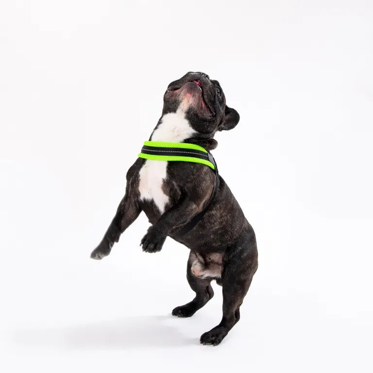 Pettorina Tre Ponti Mesh verde fluo taglia 4 per cani medi e grandi