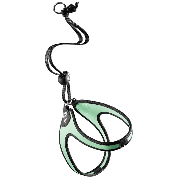 Pettorina Tre Ponti Easy Fit Original menta nero taglia 1 per cani piccoli e gatti