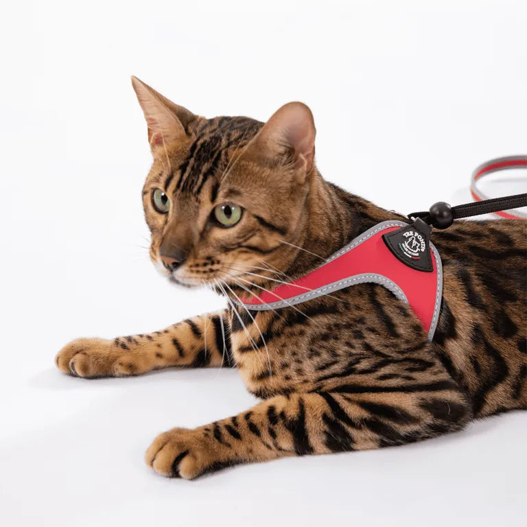 Pettorina Tre Ponti Easy Fit Original azzurro nero taglia 1.5 per cani piccoli e gatti