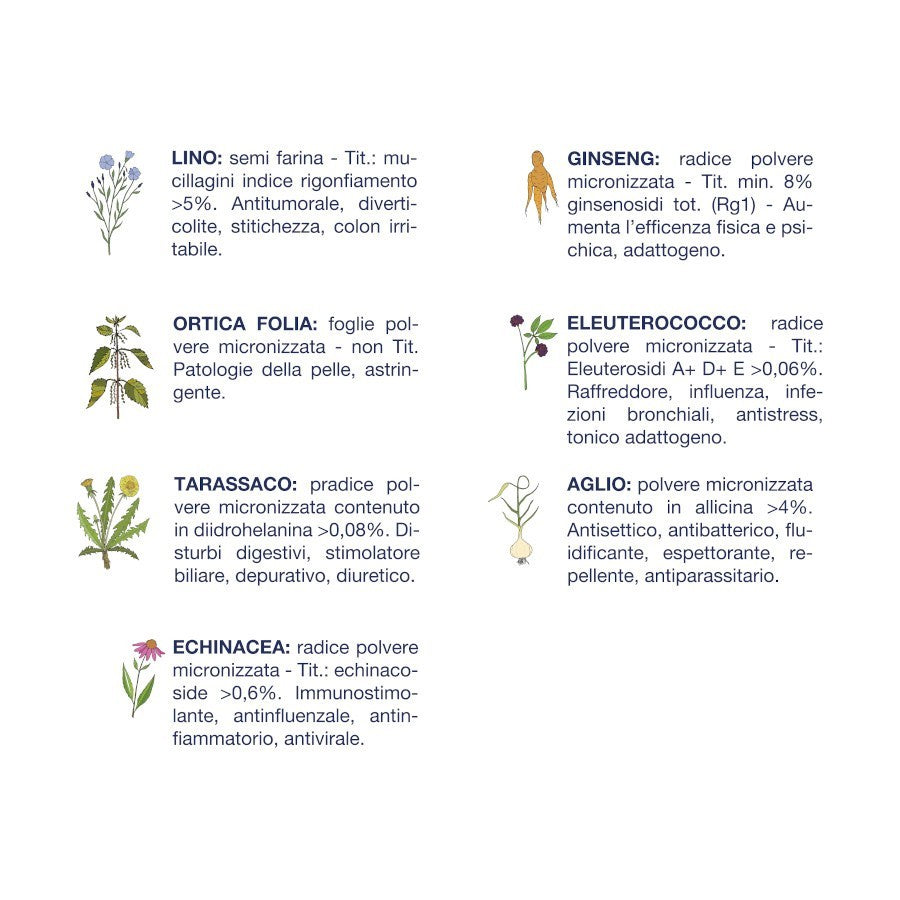 Scheda botanica erbe officinali presenti nella linea Vet Line: lino, ortica, ginseng, echinacea e altre
