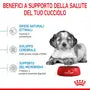 Royal Canin Medium Puppy 3kg