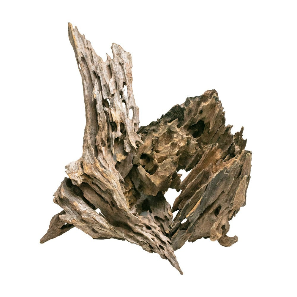 AQPET Legno Naturale Dragon Wood Large