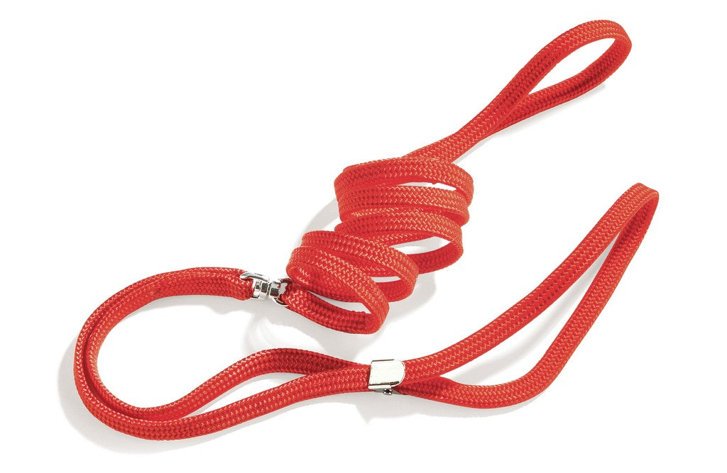 Camon Guinzaglio per Cani da Esposizione Piatto con Pinza mm5x1200