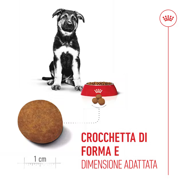 Royal Canin Maxi Puppy 3kg