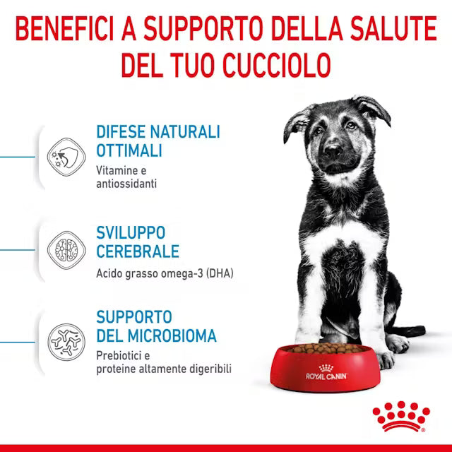 Royal Canin Maxi Puppy 3kg