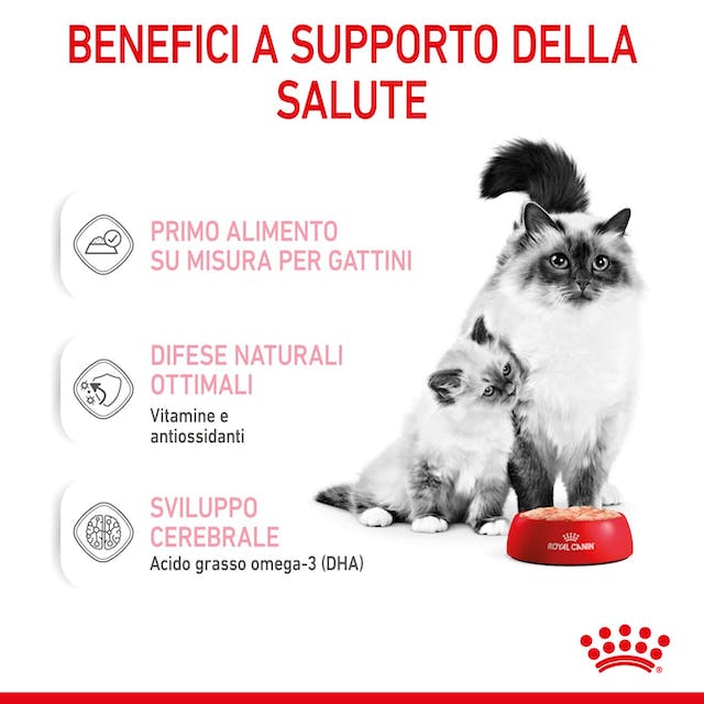 Royal Canin Mother & Babycat Mousse 12x195gr