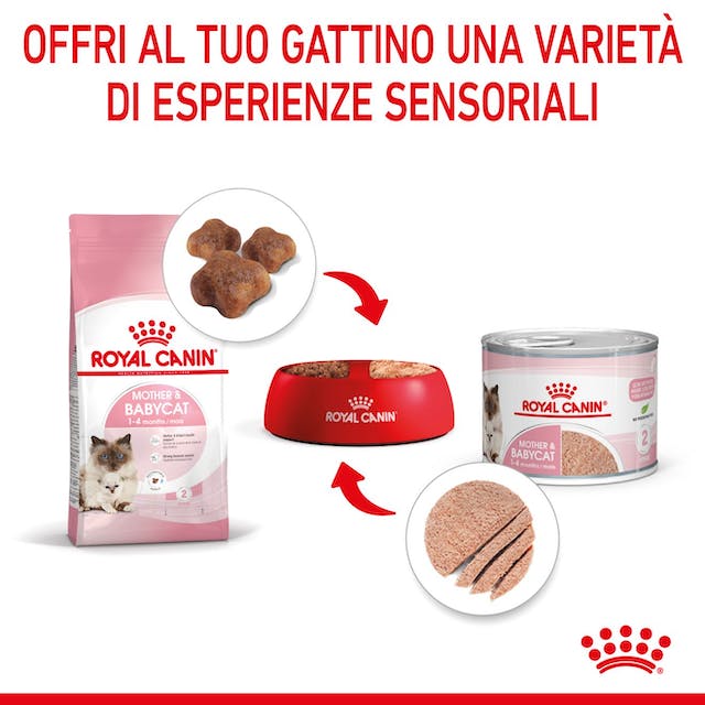 Royal Canin Mother & Babycat Mousse 12x195gr