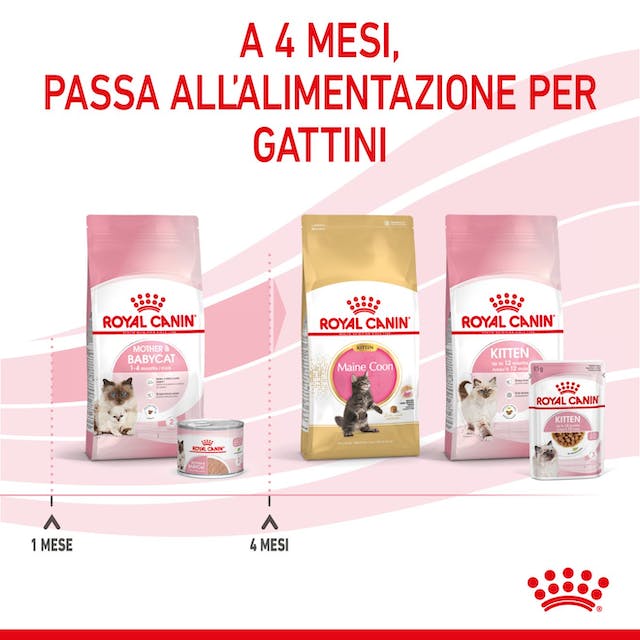 Royal Canin Mother & Babycat Mousse 12x195gr