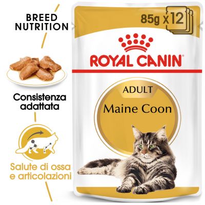 Royal Canin Maine Coon Umido in Salsa per gatti 12X85GR