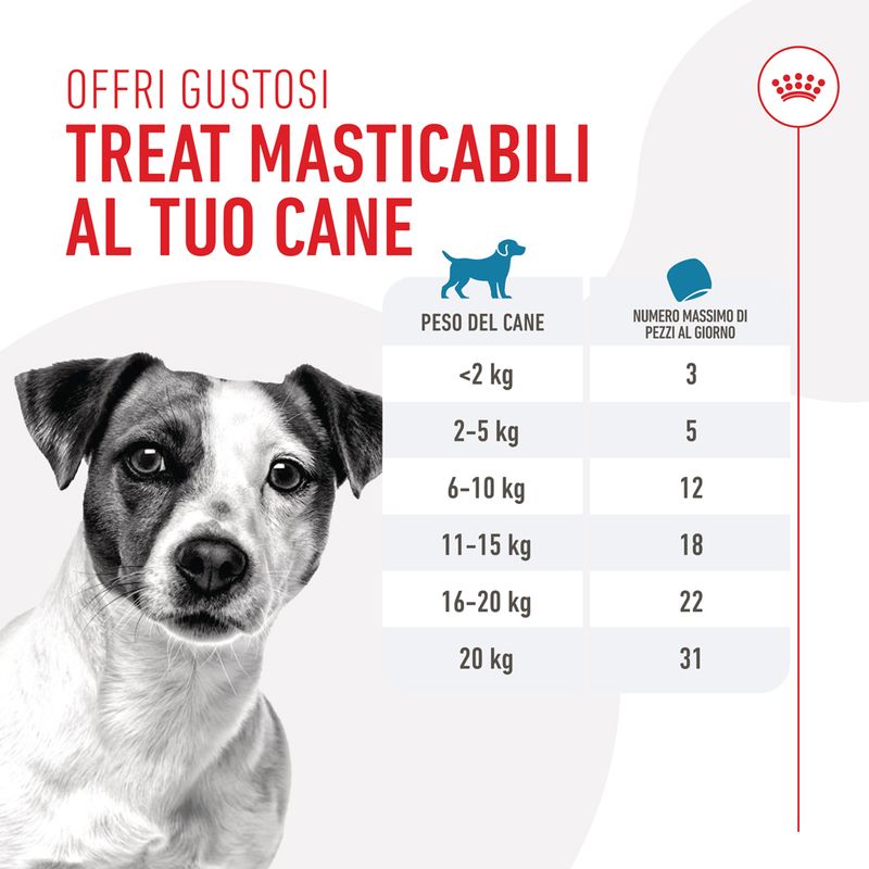 ROYAL CANIN Training Treats 110g