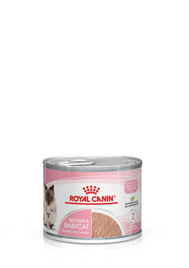 Royal Canin Mother & Babycat Mousse per Gatti 195gr