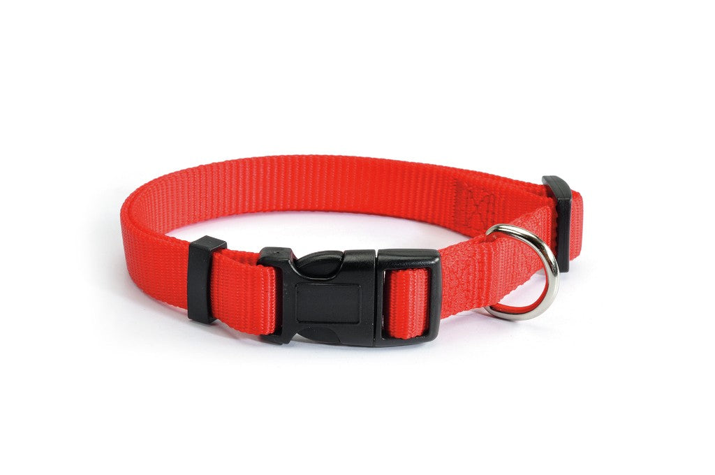 Camon Collare regolabile a sgancio - F140/01 - 12 mm - 20-25 cm - Rosso