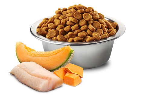 Farmina Natural & Delicious Mini Ocean Puppy con Merluzzo, Zucca e Cantalupo 2,5kg